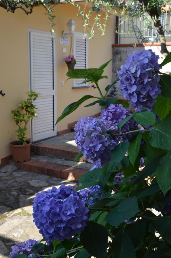 Maison Brinati Bed And Breakfast Monsummano Terme Экстерьер фото